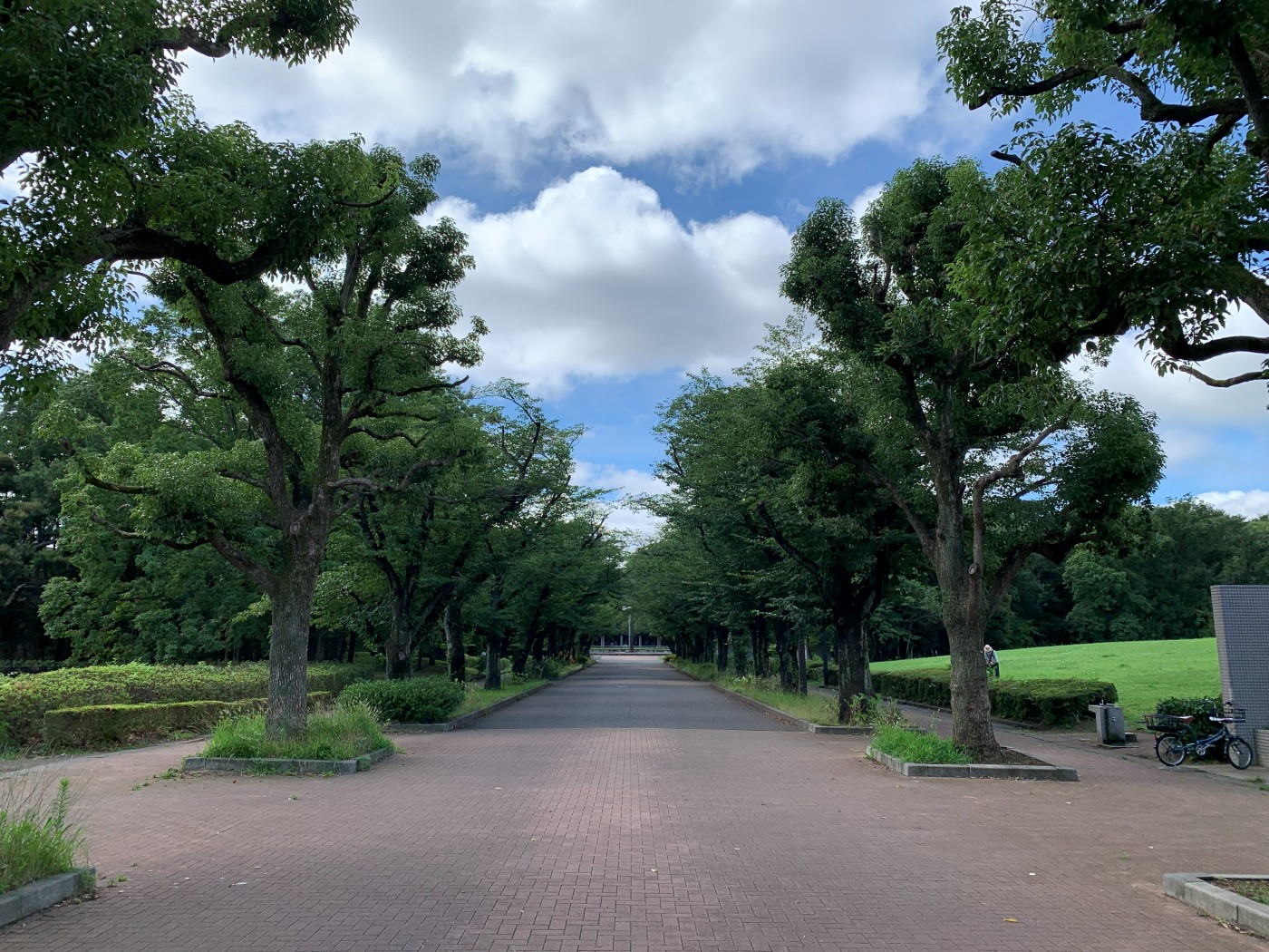 府中の森芸術劇場に隣接する府中の森公園の並木道