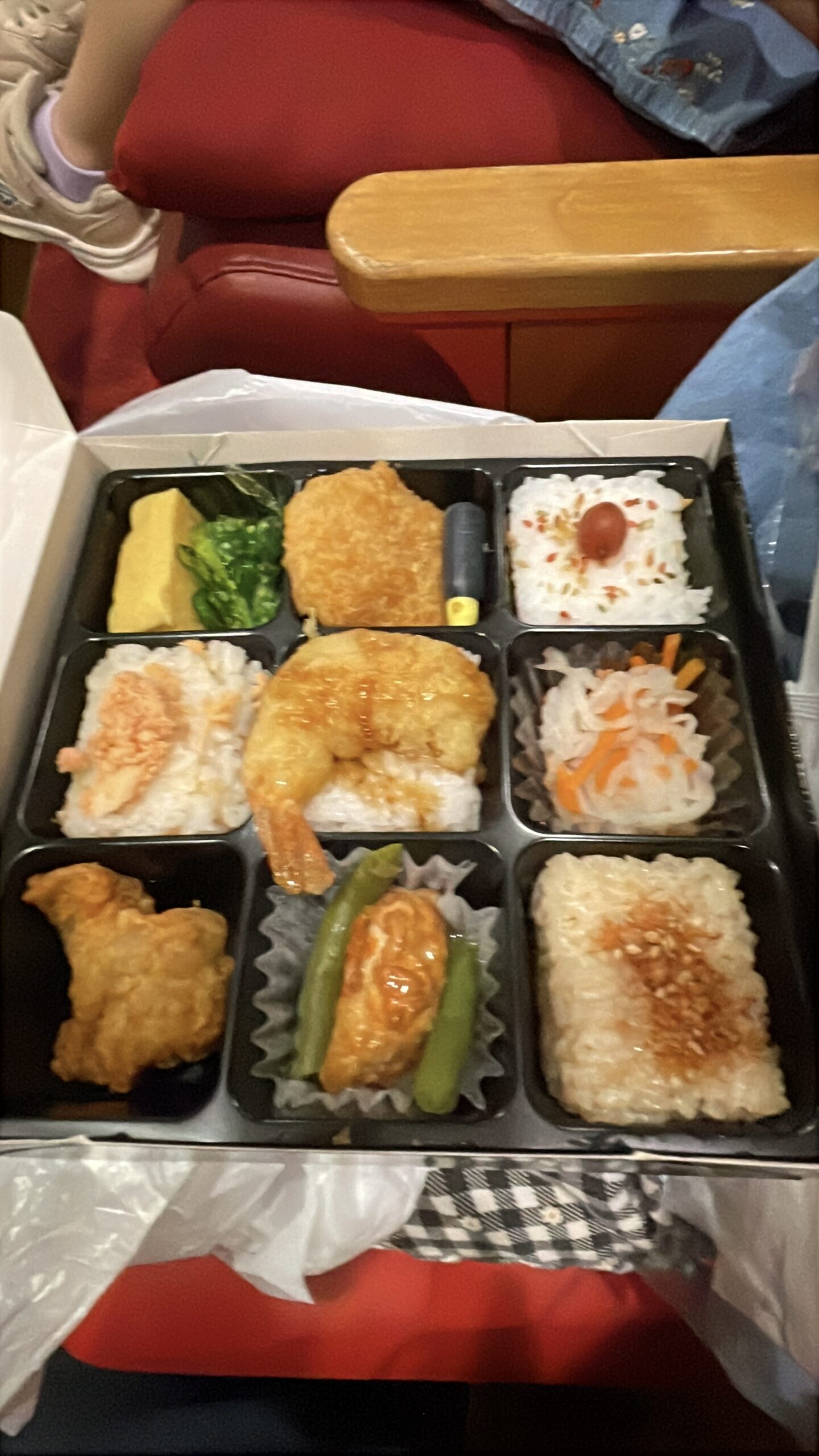 新橋演舞場の売店で購入した弁当「すみれ」1,000円。9つに仕切られた折詰。劇場の赤い座席の上で撮影。