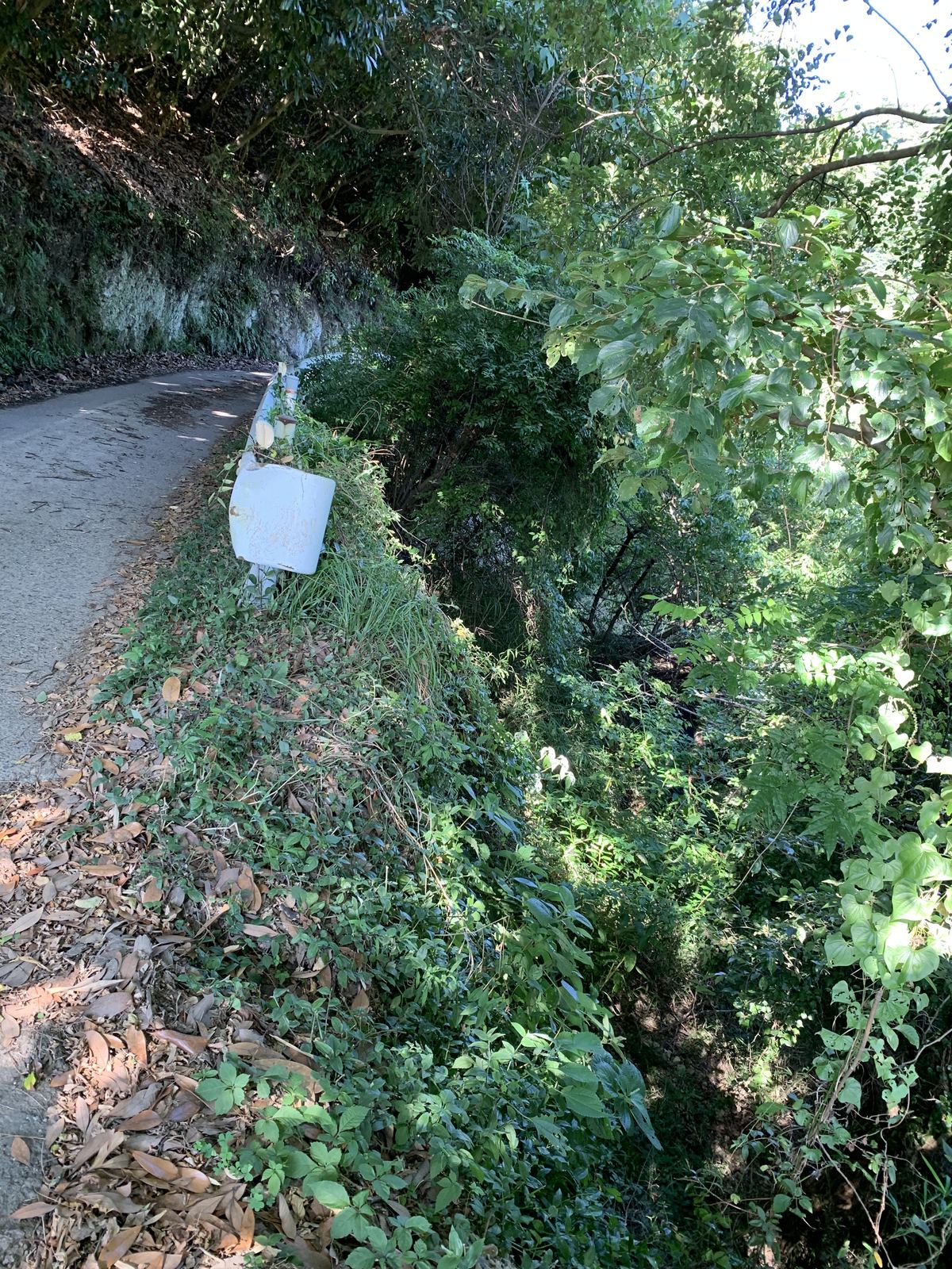 低いガードレールの外側が草に覆われた斜面になっている細い道