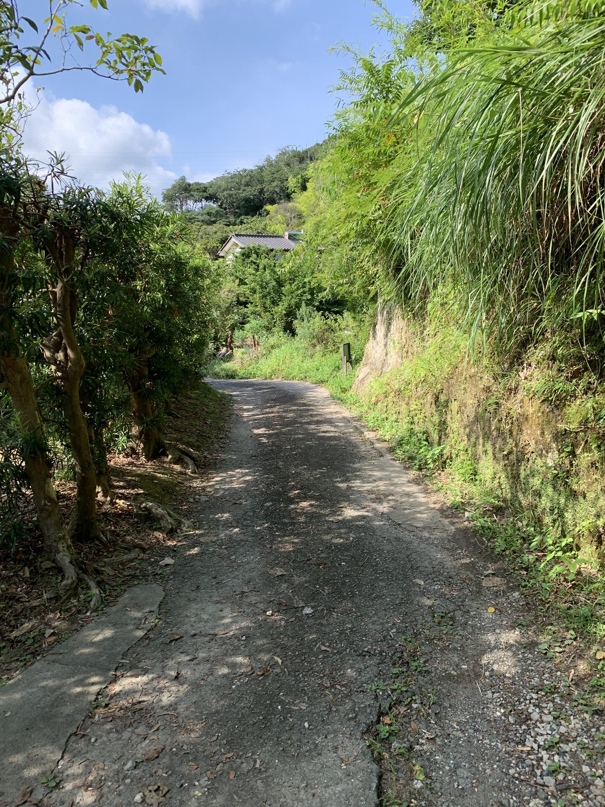 宿へ続く未舗装の細い山道