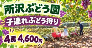 所沢ぶどう園で子連れぶどう狩り。ぶどう棚の木陰で三輪車や乗用おもちゃで遊ぶ子どもたち