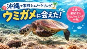 沖縄・大度浜海岸でウミガメに出会えた家族シュノーケリング体験